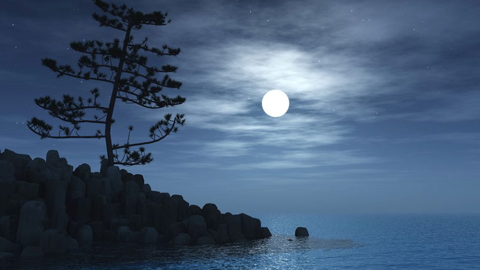 fegari moon